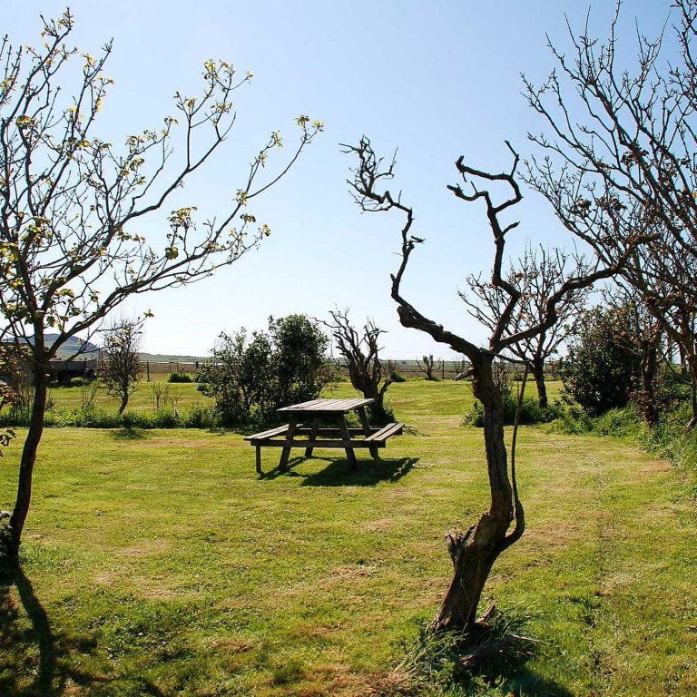 Balinoe Campsite 5 768x768