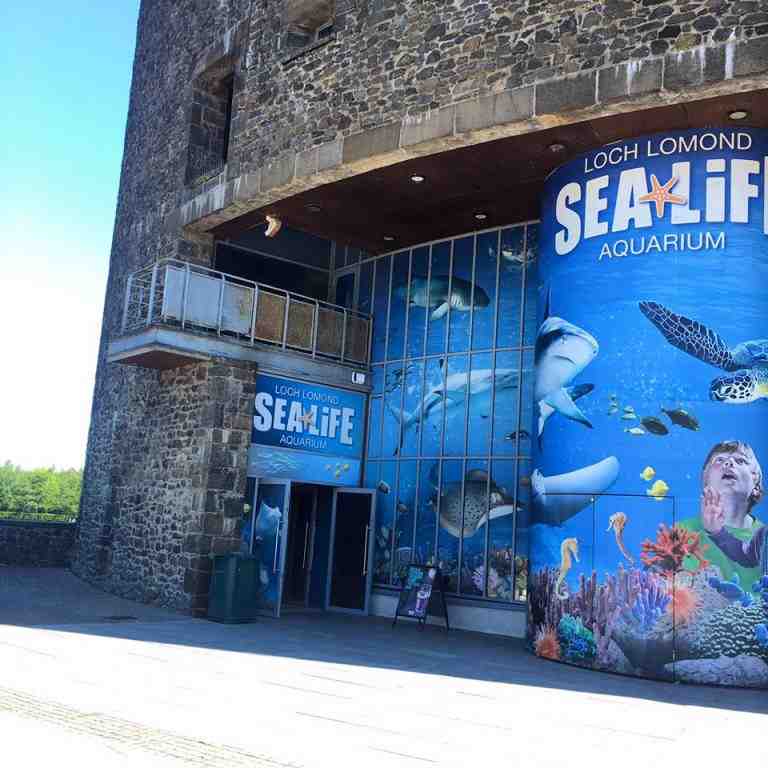 Sea Life Loch Lomond 9 768x768